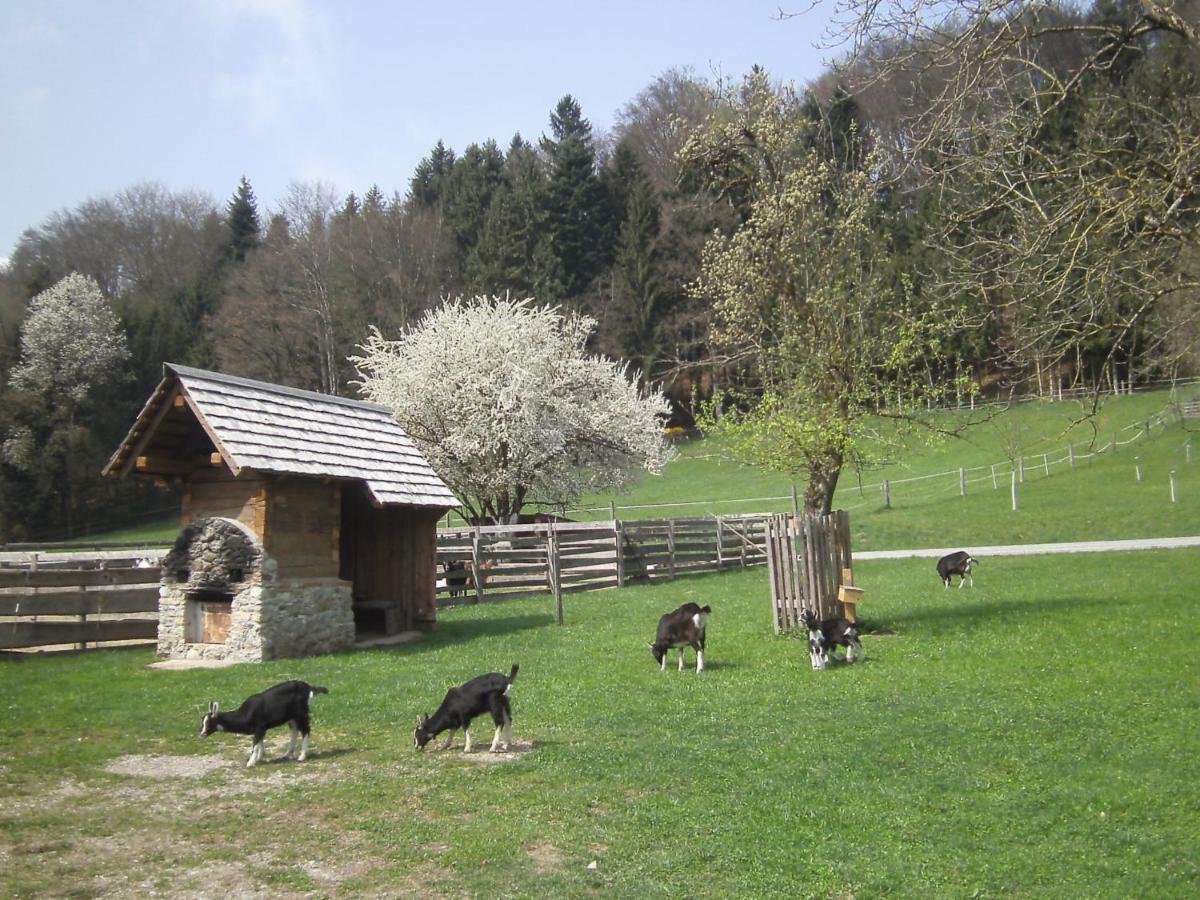 Bauernhof Kaspergut Vila Kirchberg bei Mattighofen Exterior foto